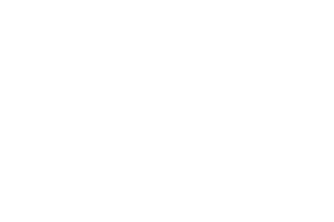 TravelGuru